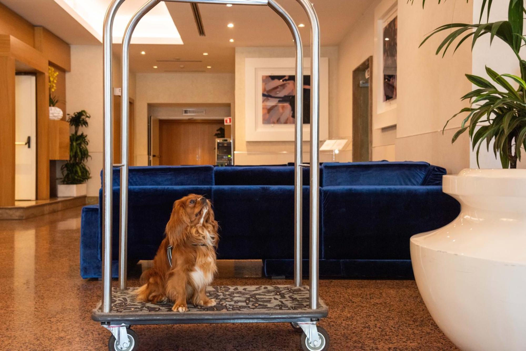 Best Western Hotel President - Colosseo Roma Esterno foto